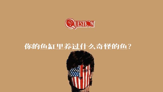 你的鱼缸里养过什么奇怪的鱼？