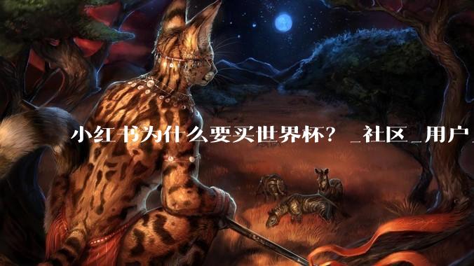 小红书为什么要买世界杯？_社区_用户_***