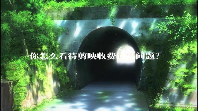 你怎么看待剪映收费过高问题？
