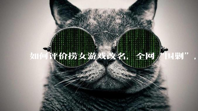 如何评价捞女游戏改名，全网“围剿”，以及导演b站账号被封这件事?