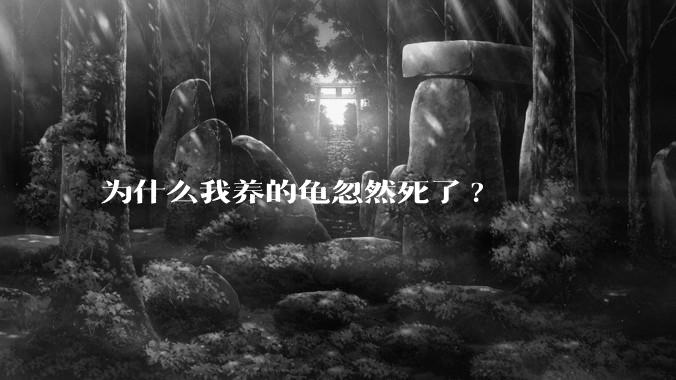 为什么我养的龟忽然死了?