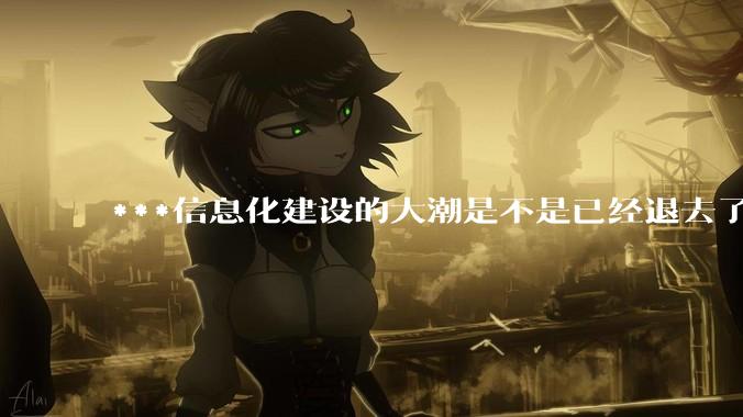 ***信息化建设的大潮是不是已经退去了？